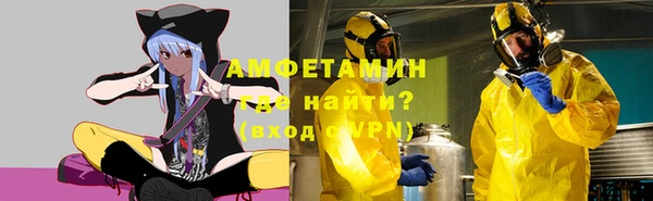 гидра Алексеевка